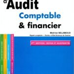 Guide pratique de l'Audit comptable & financier